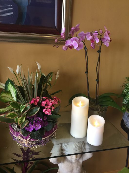 Photo-Jun-13,-3-14-22-PM