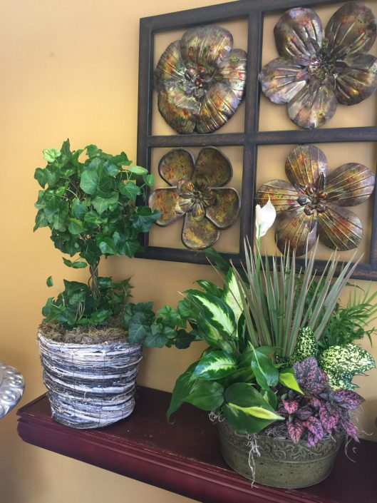 Photo-Jun-13,-3-14-37-PM